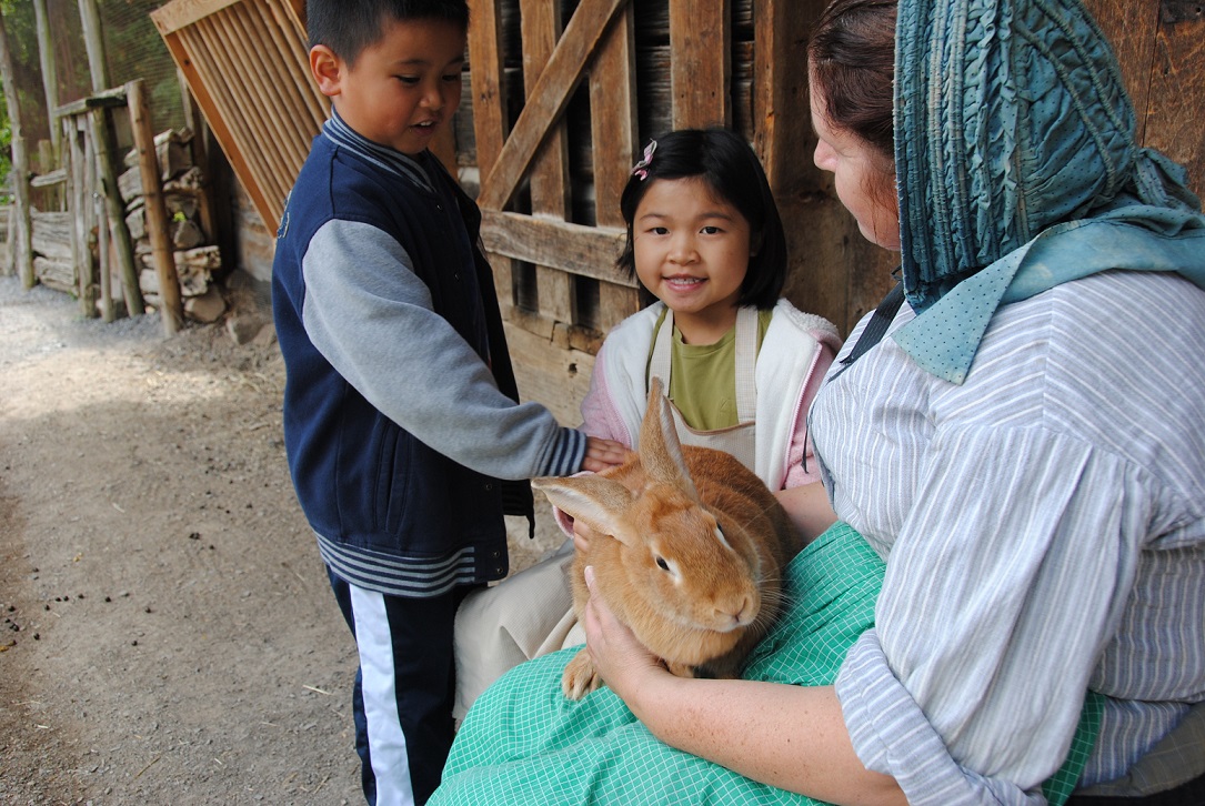 Kids petting a rabbit