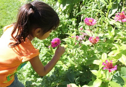 a young girl sniffs a flower in one of the Black Creek heritage gardens