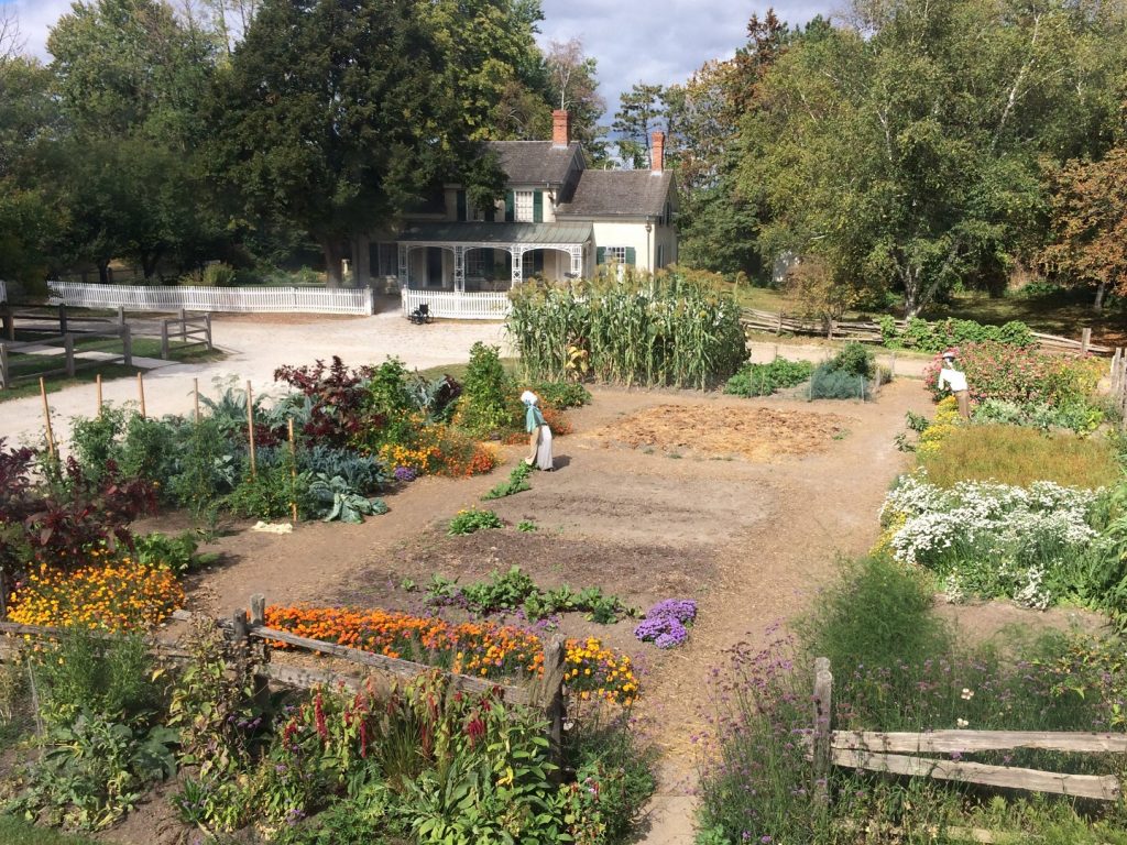 The Market Garden