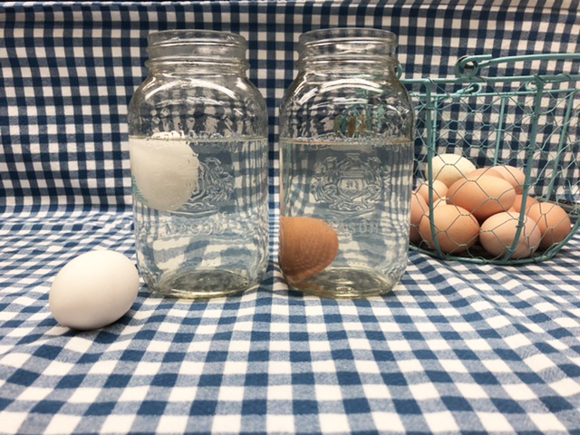 fresh egg sinks to bottom of jar while older egg floats to surface