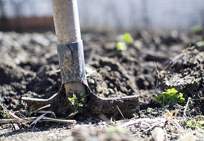 farmer digs soil with shovel