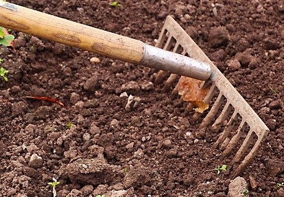 farmer rakes soil