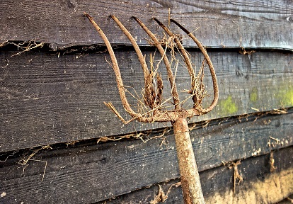 pitchfork leaning against side of barn