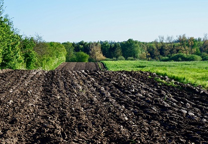 plowed field