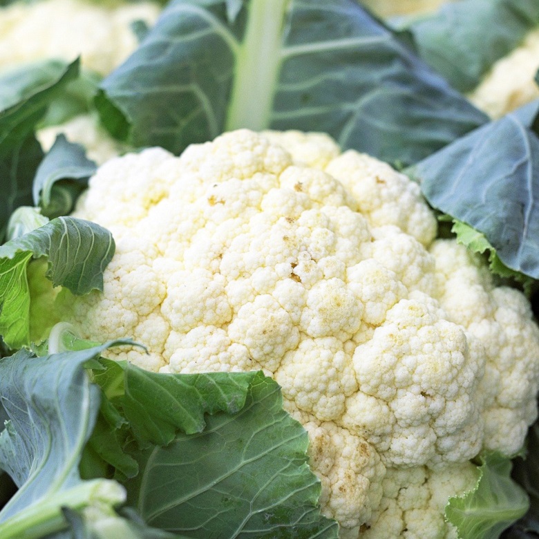 cauliflower