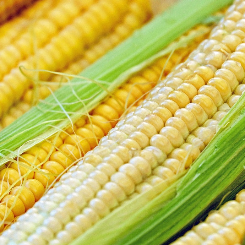 corn