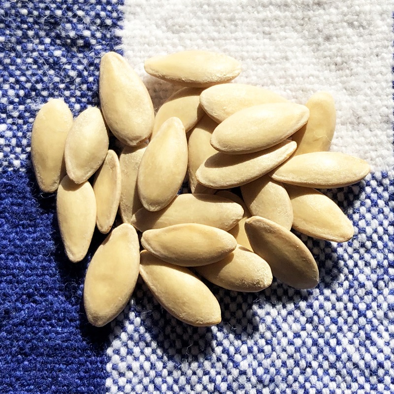 cucumber seeds