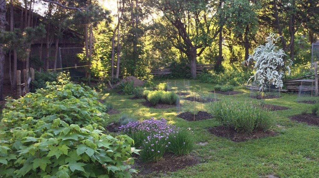 heritage garden at Black Creek Pioneer Village