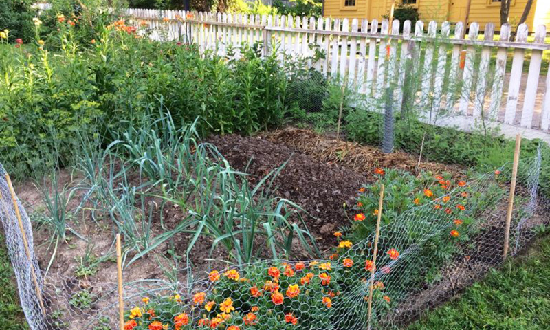 kitchen garden at Burwick House in Black Creek Pioneer Village