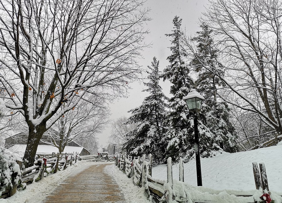 view of snow-covered streets at Black Creek Pioneer Village on a winter day