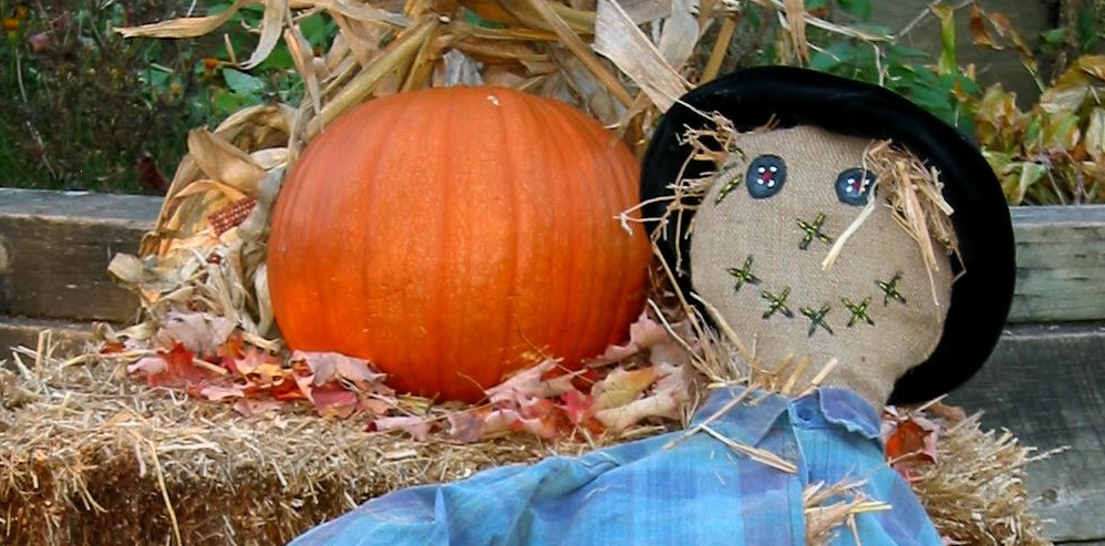 scarecrow and pumpkin at Black Creek Pioneer Village during harvest time