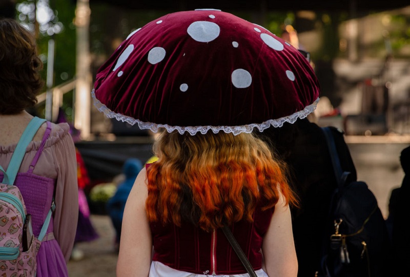 a perfomer wearing a fantasy-inspired costumed at the Enchanta Village event